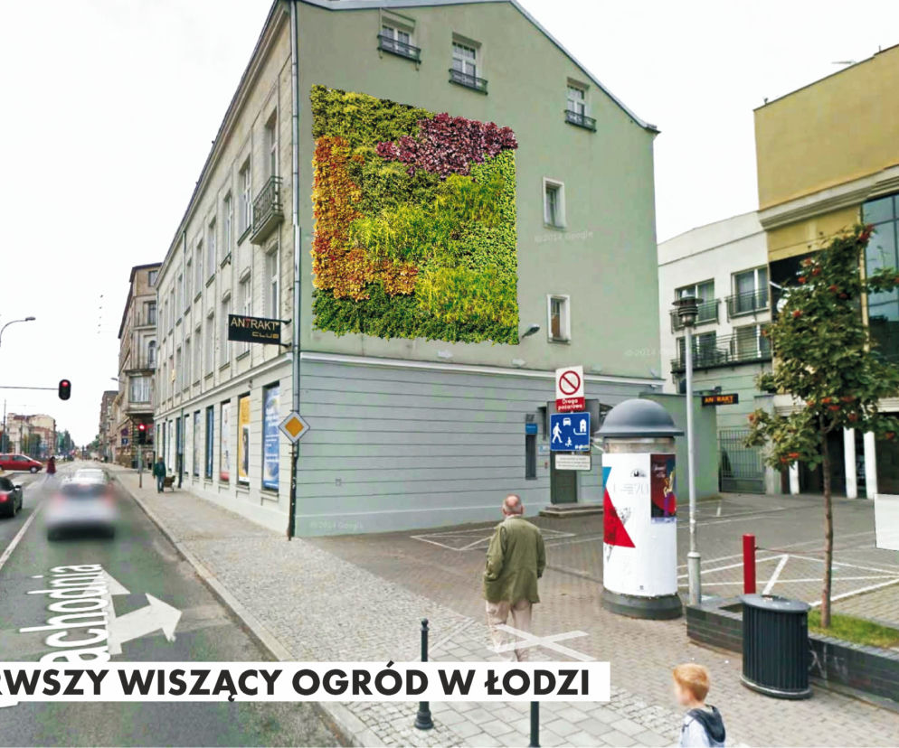 Tak będzie wyglądać wertykalny ogród