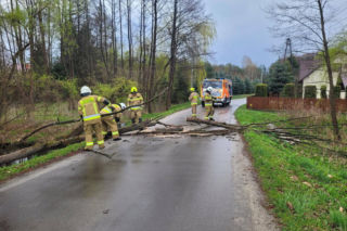 Setki interwencji strażaków w świąteczny poniedziałek. Pogoda nie odpuszcza