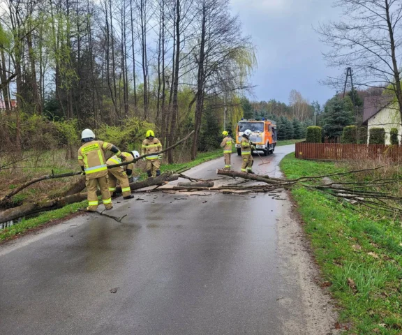 Setki interwencji strażaków w Poniedziałek Wielkanocny. Wichury szaleją