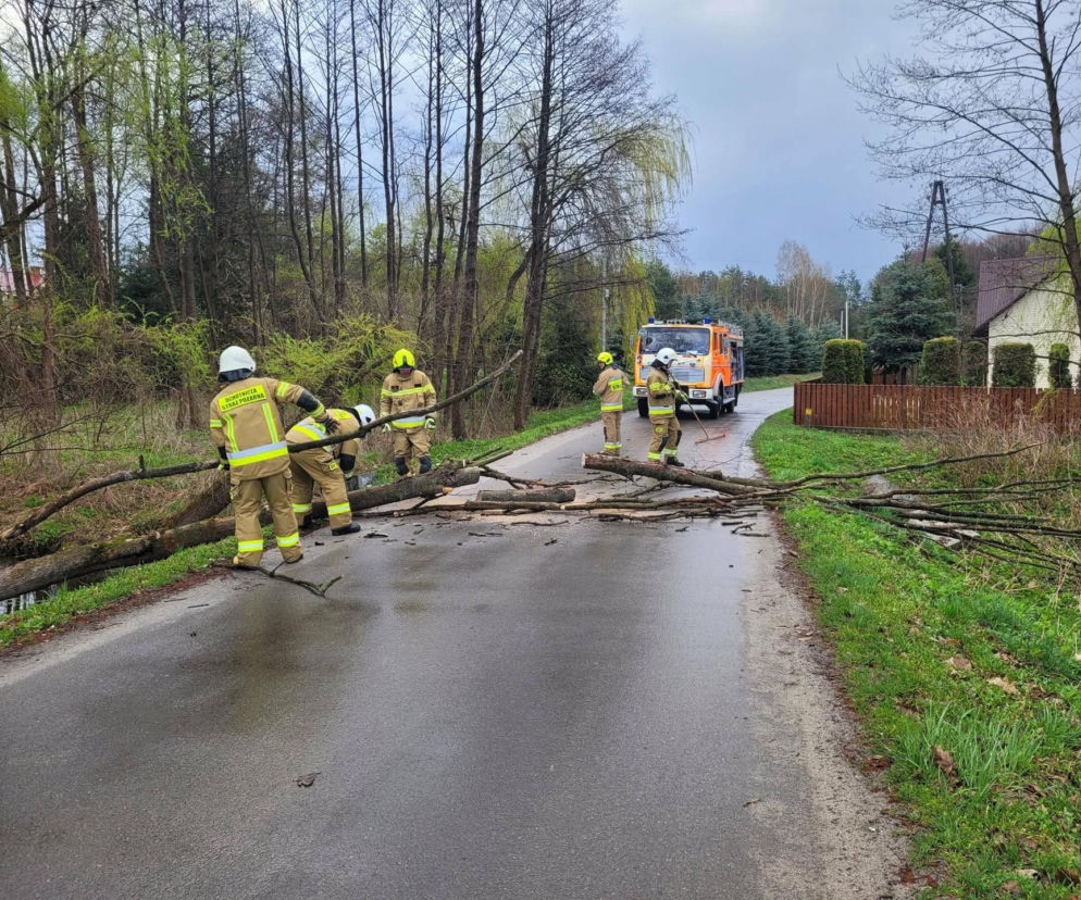 Setki interwencji strażaków w Poniedziałek Wielkanocny. Wszystko przez gwałtowny wiatr