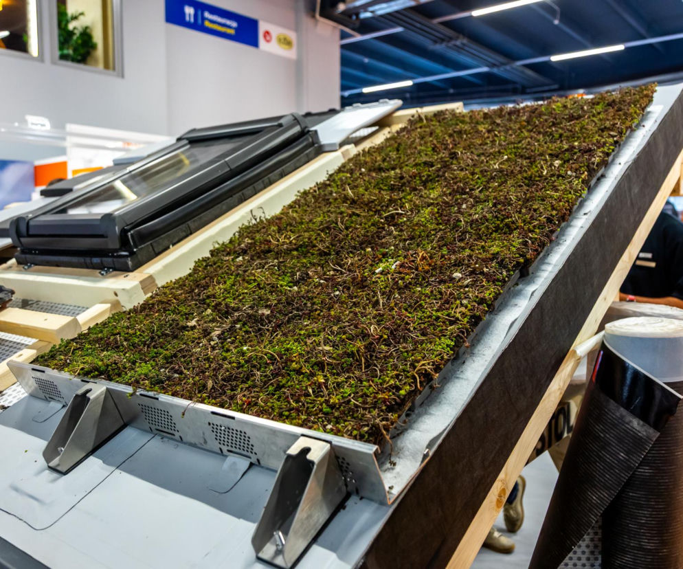 Systemowe zielone dachy - maty wegetacyjne z roślin rozchodnikowych, ziół i mchów