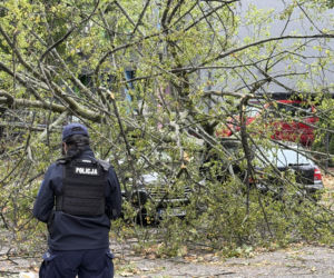 Potworne skutki wichury w Warszawie