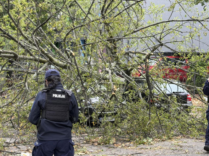 Potworne skutki wichury w Warszawie