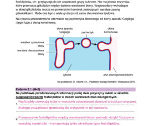 Matura próbna 2026 - biologia. Wszystkie odpowiedzi do arkusza CKE z biologii 14.01.2026