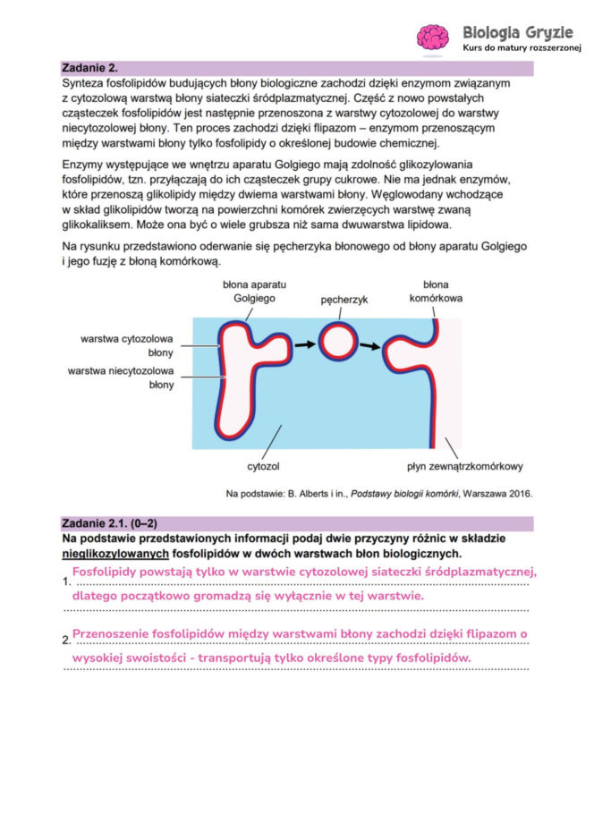Matura próbna 2026 - biologia. Wszystkie odpowiedzi do arkusza CKE z biologii 14.01.2026