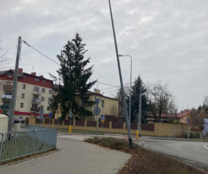 Uderzyła po pijaku w latarnię