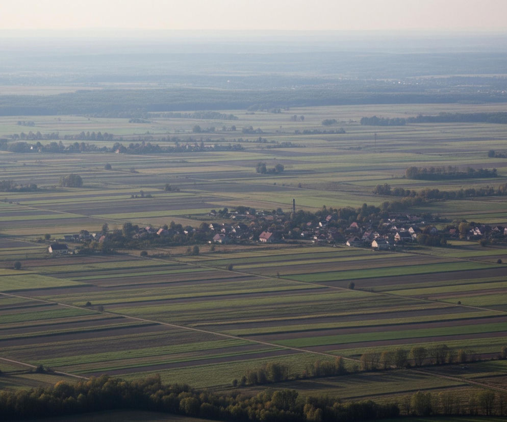 Rozległy, horyzontalny kadr przedstawia krajobraz rolniczy z lotu ptaka, dominują równo ułożone pasy pól uprawnych w odcieniach zieleni i brązu, rozdzielone niewyraźnymi drogami. Pośrodku obrazu skupisko domów z czerwonymi dachami tworzy niewielką wioskę, otoczoną drzewami i polami. W tle widoczna jest zamglona, ciemniejsza linia lasu, a ponad nią horyzont jest jasny i rozmyty.