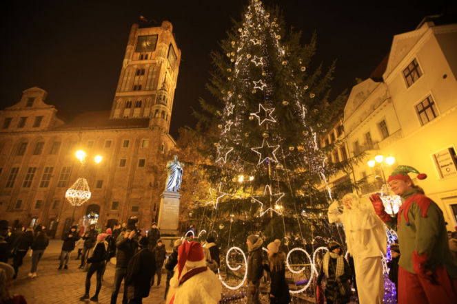 Choinka w centrum Torunia / zdjęcie archiwalne