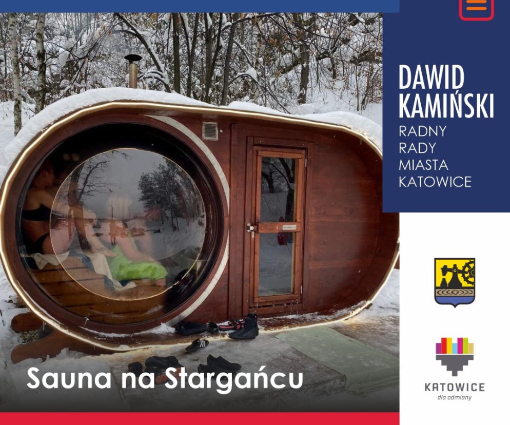Radny z Katowic chce, żeby w lesie stanęła plenerowa sauna. To odpowiedź na modne dzisiaj morsowanie. Co wy na to?