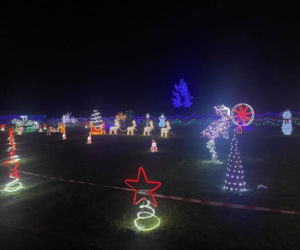 Zelów: 300 tysięcy lampek na jednej posesji! Tak powstała Magiczna Kraina! [WIDEO, AUDIO] 