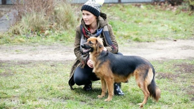 M jak miłość odc. 1204. Pies Kminek (Lizak), Ala (Olga Frycz)
