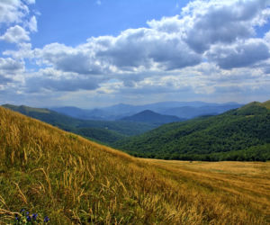 Bieszczady