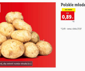 Promocje w Lidlu od 29 lipca 2021