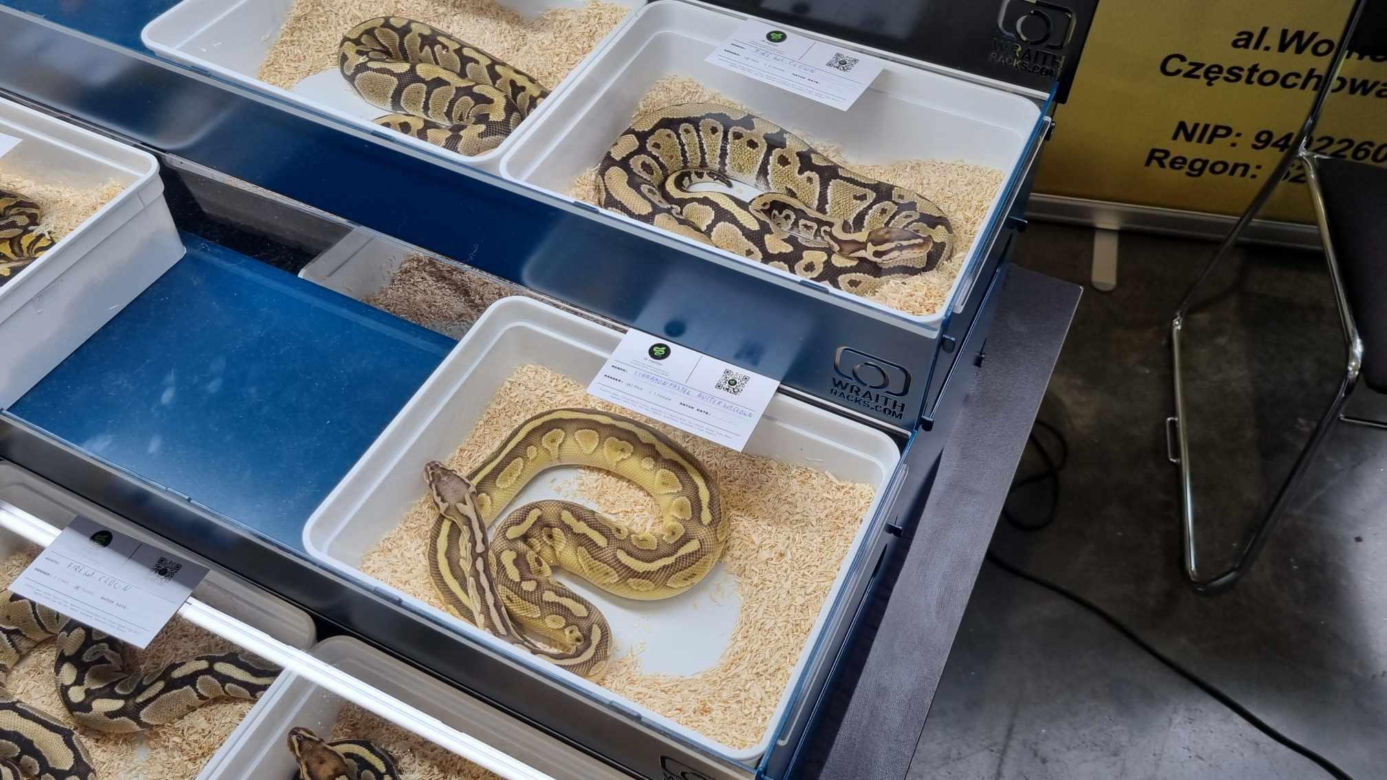 Targi Exotic Fest odbyły się w Poznaniu