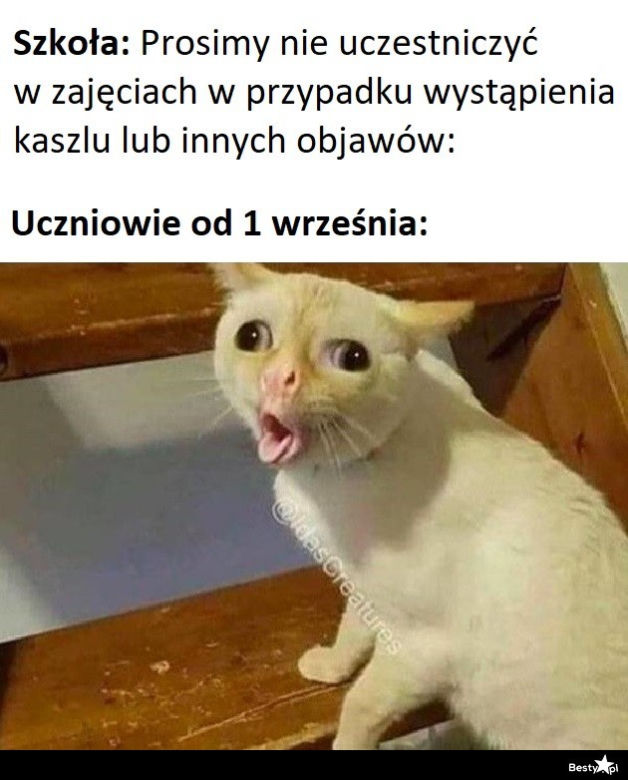 Memy o szkole 2020. Nauka u dobie koronawirusa. Żarty z nowej sytuacji 