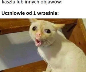 Memy o szkole 2020. Nauka u dobie koronawirusa. Żarty z nowej sytuacji 