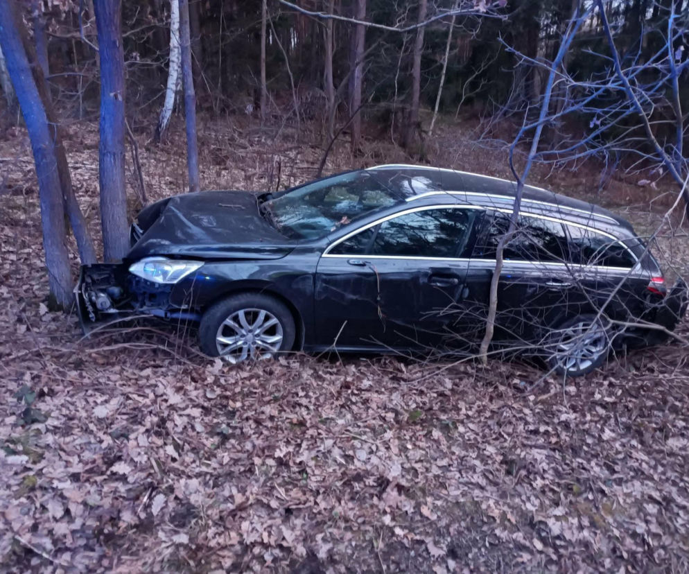Na drodze Starachowice - Lipie pijany kierowca uderzył w drzewo. 45-latek chciał ukryć się w lesie