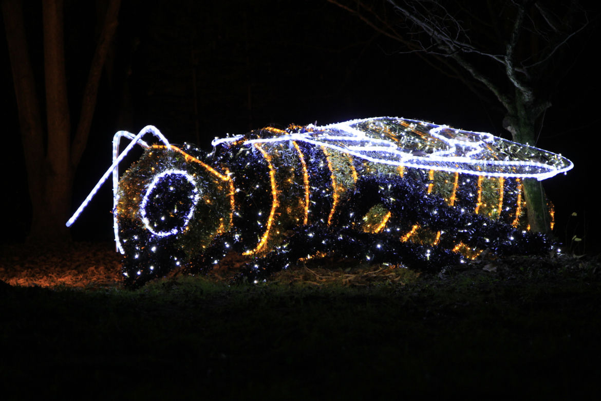 Park iluminacji „Tajemniczy Ogród” w Lublinie