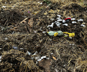 Zabrali dzieciom psa jak rzecz