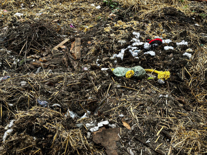 Zabrali dzieciom psa jak rzecz