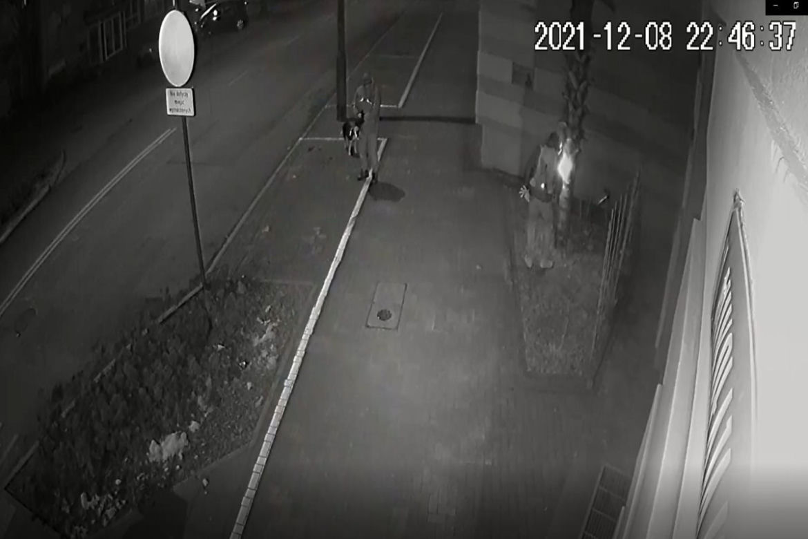 Ktoś podpalił palmę w Olsztynie