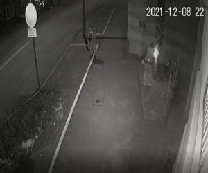 Ktoś podpalił palmę w Olsztynie
