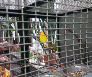 ZOO Toruń zaprasza!