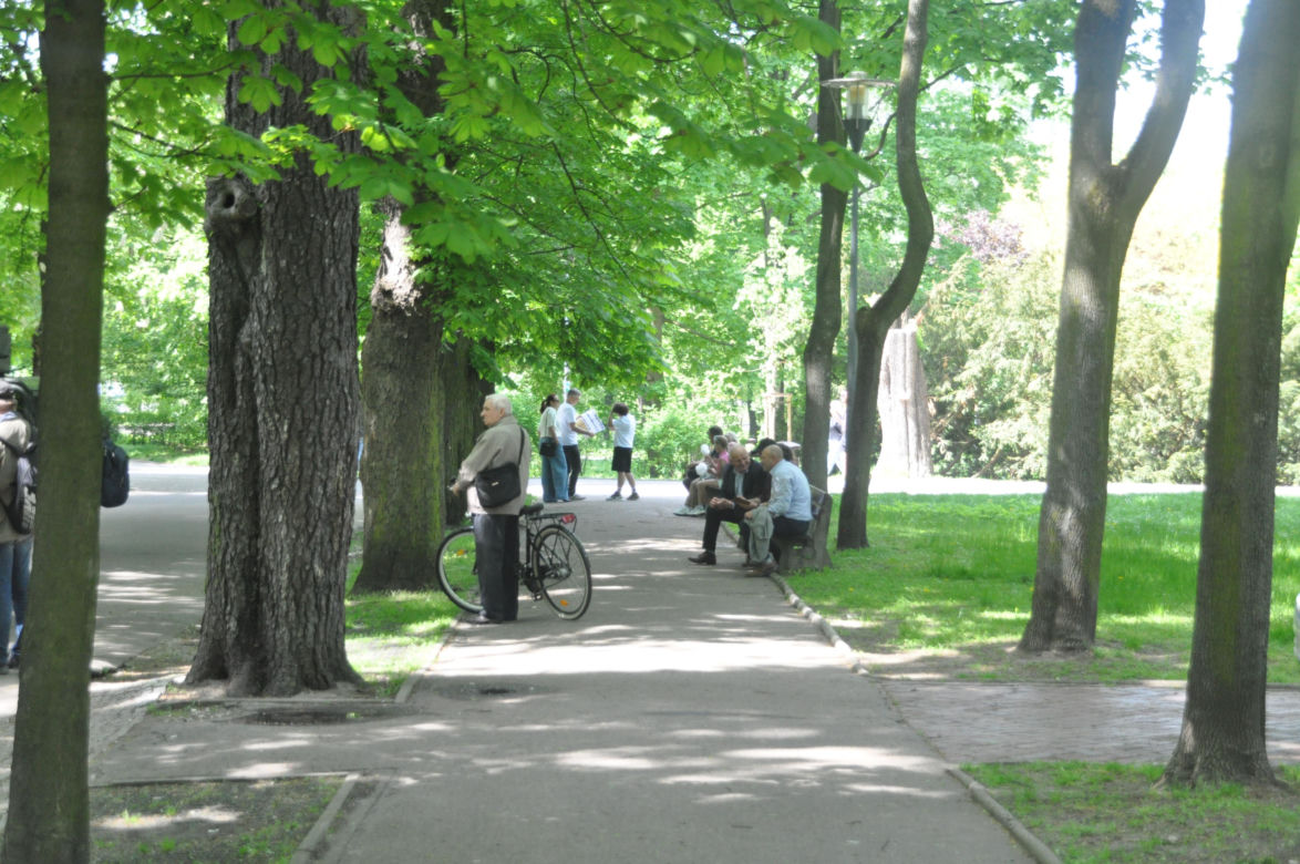 Park Miejski w Kielcach. Wiosna 2025