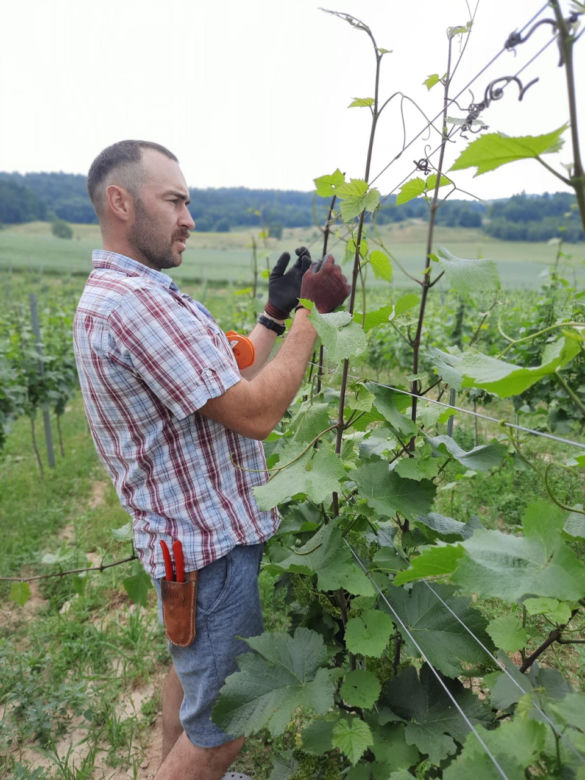 Dolnośląscy winiarze w Gruzji