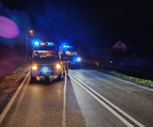 Osobowe Audi potrąciło mężczyznę. Śmiertelny wypadek na DK73 w Brniu