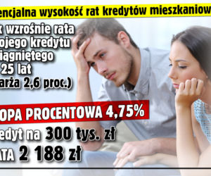 Raty kredytów