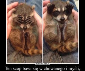 Afera taśmowa memy