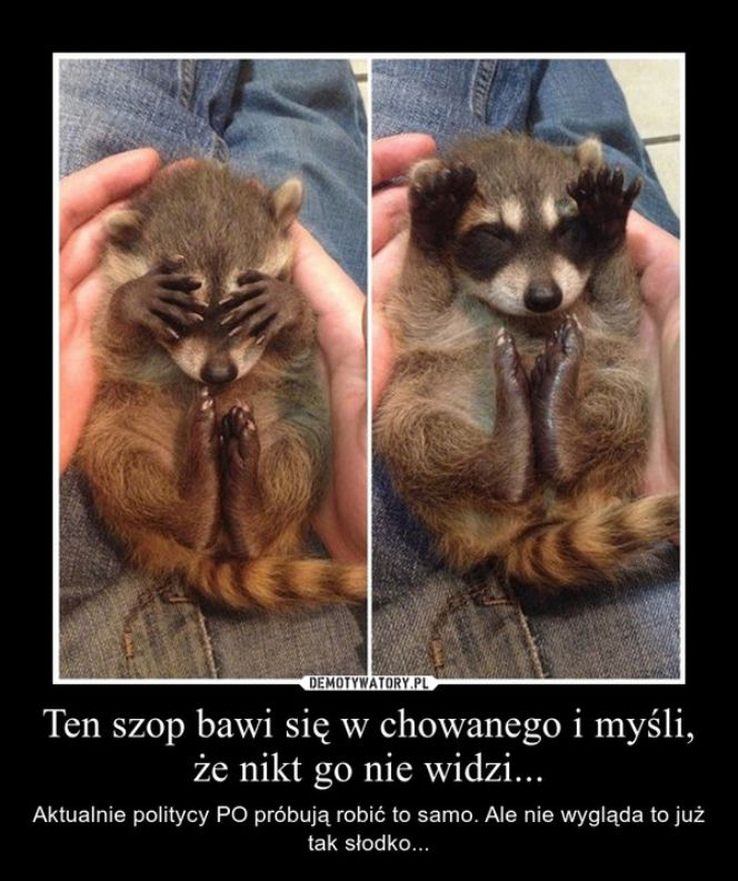 Afera taśmowa memy