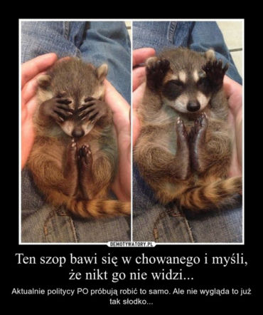 Afera taśmowa memy