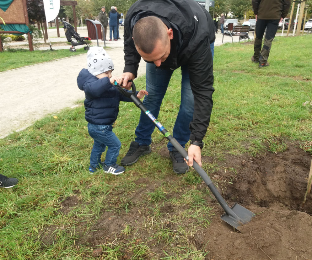 Jedno dziecko, jedno drzewo