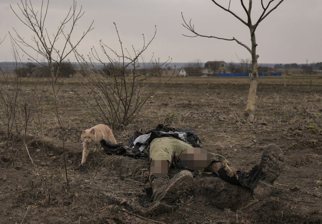 Wojna na Ukrainie