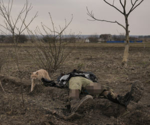 Wojna na Ukrainie