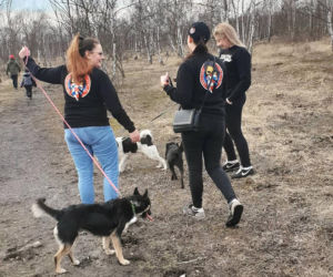 Dziewczyny z Torcida Girls zorganizowały zbiórkę na schronisko dla zwierząt. Zachęcaja wszystkich do pomocy [ZDJĘCIA]