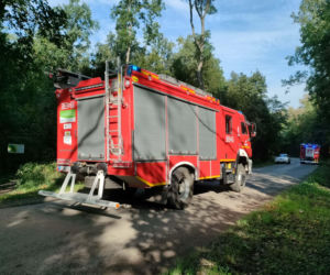 Leśny Front. Największe ćwiczenia strażaków od lat w powiecie łomżyńskim