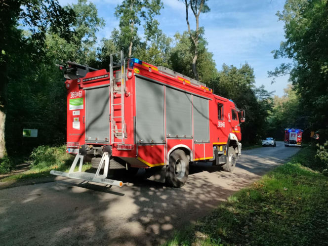 Leśny Front. Największe ćwiczenia strażaków od lat w powiecie łomżyńskim