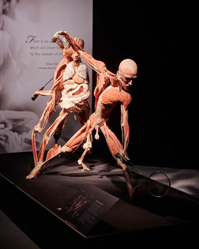 Body Worlds
