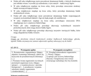 Matura 2019 z biologii [ARKUSZE CKE, ODPOWIEDZI]