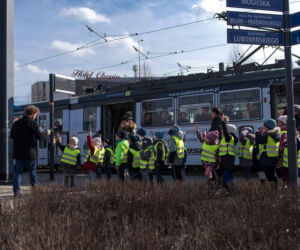 Dzień Kobiet 2019 w Krakowie. Znany społecznik rozda 2500 tulipanów na rondzie Mogilskim!