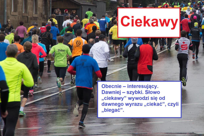 Język żyje — zmienia go historia, migracje, zapożyczenia z innych języków, a nawet technologia