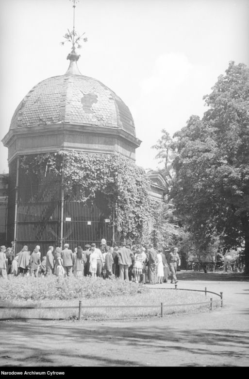 ZOO Wrocław w latach 50. XX wieku. Zobacz, jak wyglądało otwarcie zoo we Wrocławiu [ZDJĘCIA]