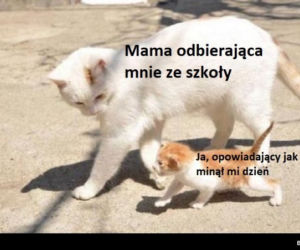 Memy o szkole 2020. Nauka u dobie koronawirusa. Żarty z nowej sytuacji 