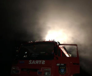 Horror nad Przemszą! Z rzeki wystawała stopa dziecka. ZASKAKUJĄCY finał [ZDJĘCIA]