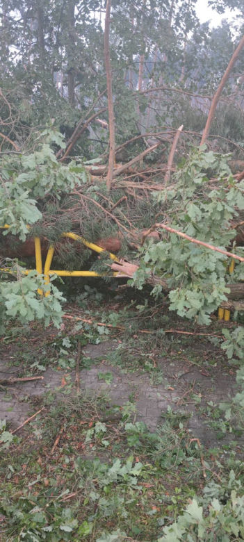 Koszmarny widok po nawałnicy w Osiu. Gigantyczne straty 