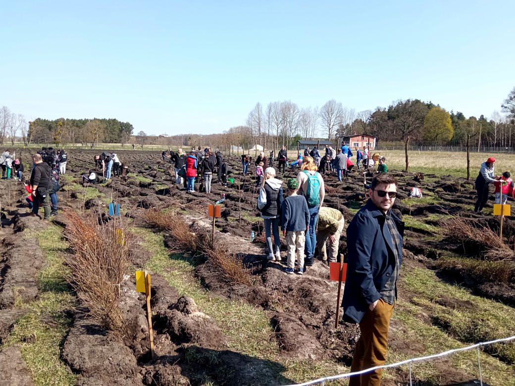 Akcja "Grudziądzanie sadzą las"!