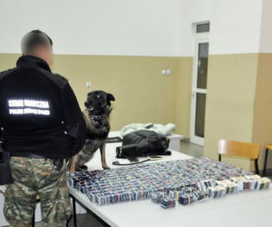 Najczulszy nos w Polsce poszedł na emeryturę. Na granicy w Dorohusku Idea dokonywała cudów, teraz czeka ją wygodne życie u swego kolegi z pracy